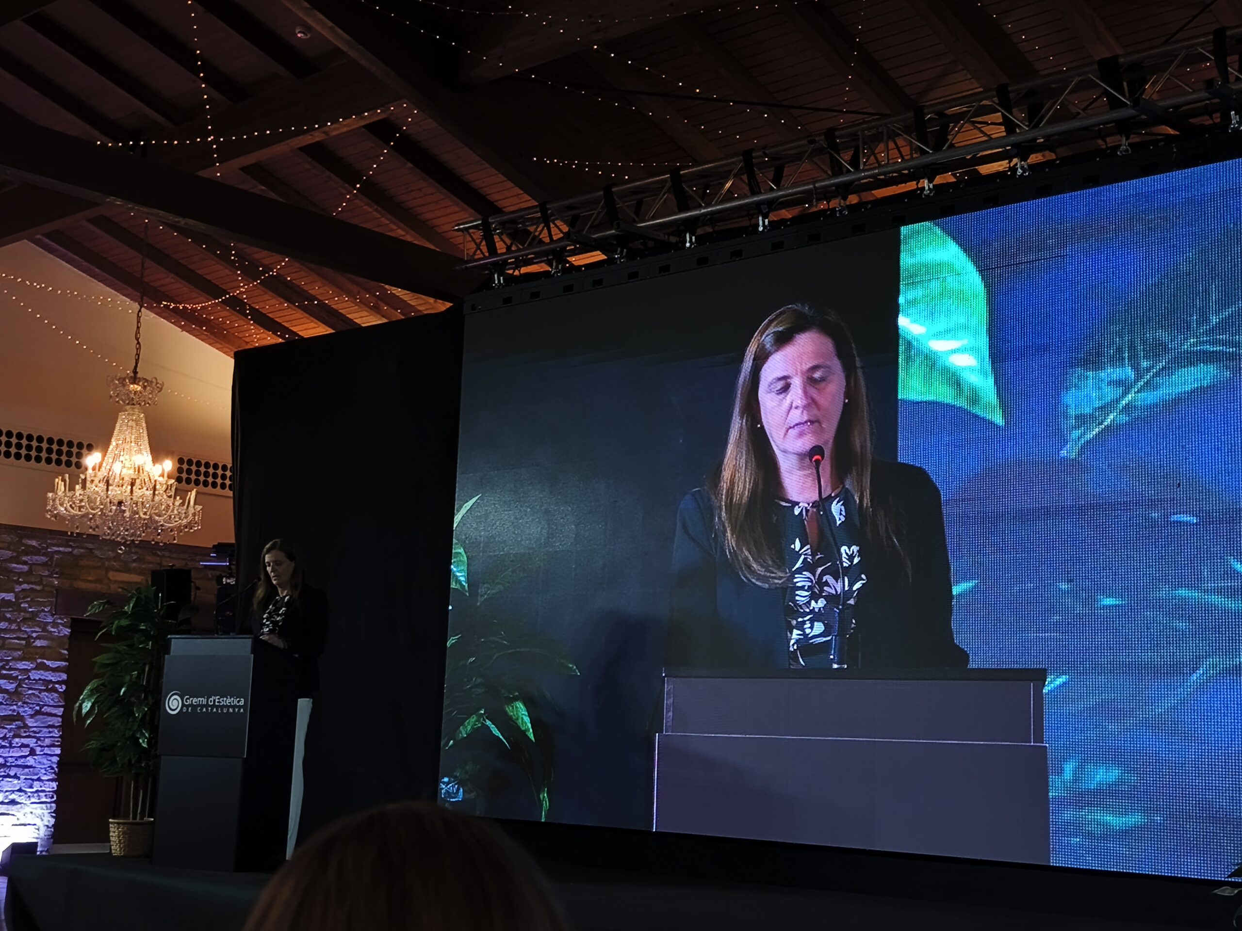1749858181694-scaled Crónica de la 'II Nit de l’Estètica', gala solidaria, belleza y compromiso en una noche mágica
